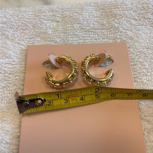 Mignonne gavigan hoop faux diamond earrings, costume
